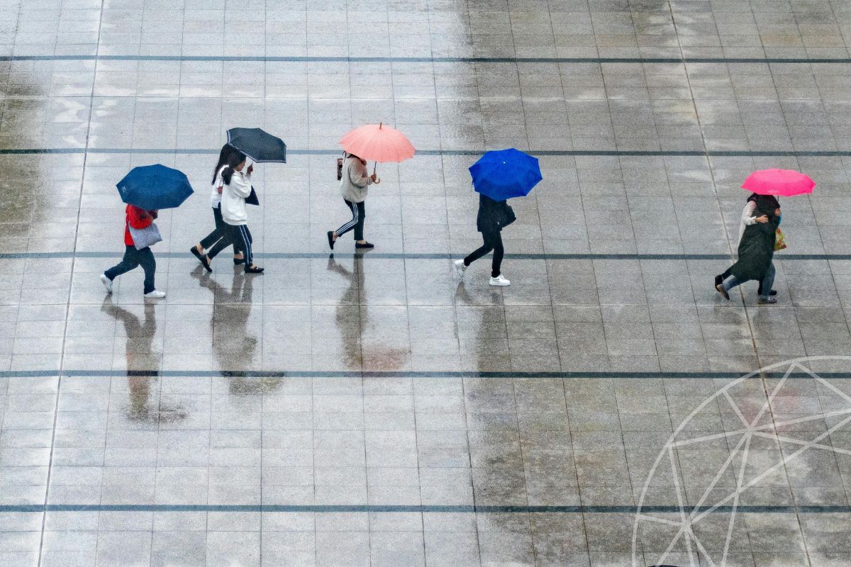 Jak sezon wpływa na harmonogram sprzątania?